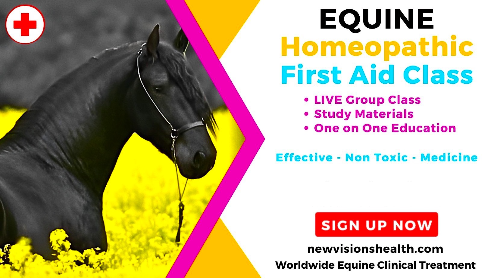 Equine Homeopathic First Aid - Live Online Class, 2024