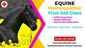 Equine Homeopathic First Aid - Live Online Class, 2024