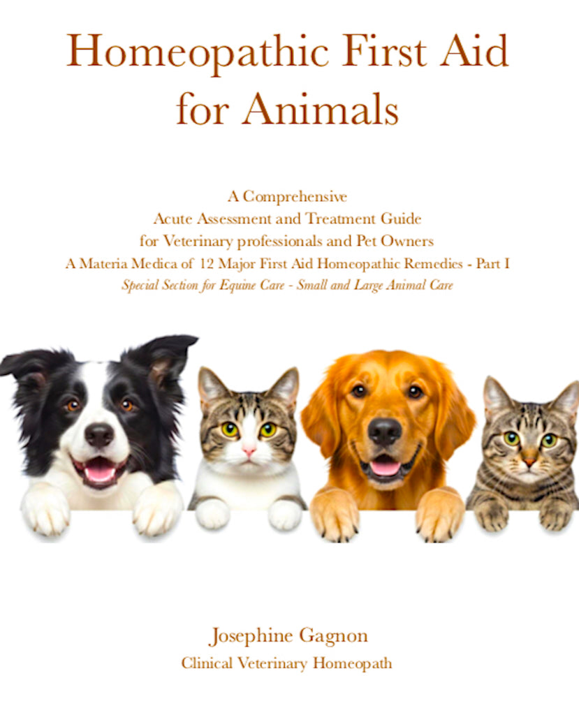 Homeopathic First Aid for Animals - Part I