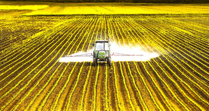 Glyphosate Panel - Toxicity Load