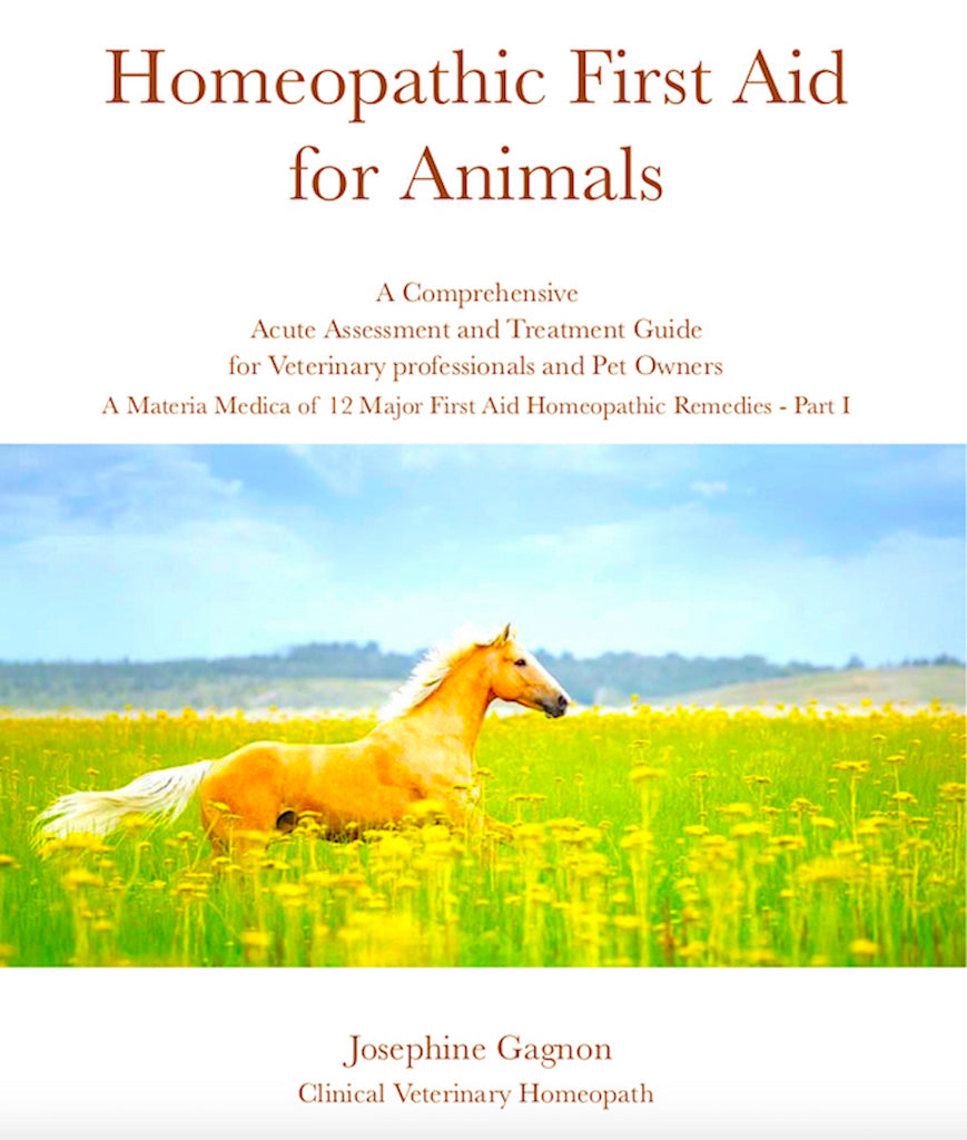 Homeopathic First Aid for Horses - Part I