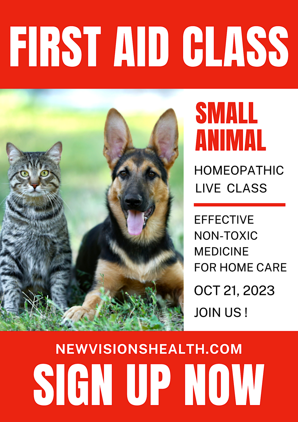 Small Animal First Aid - Homeopathic Live Online Class - Part Two