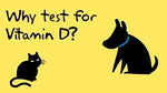 Vitamin D,  Vit B12, + Magnesium - Canine, Feline