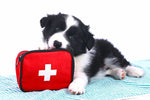 HOMEOPATHIC FIRST AID - LIVE ONLINE CLASS - PART 1,  2024