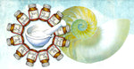 Therapeutic Consultation - Cell Salts and Flower Essences